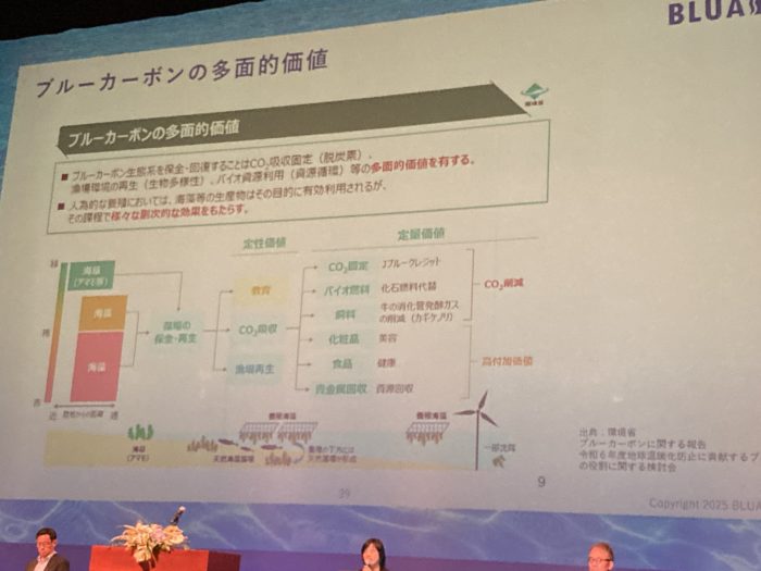 ブルーエコノミー